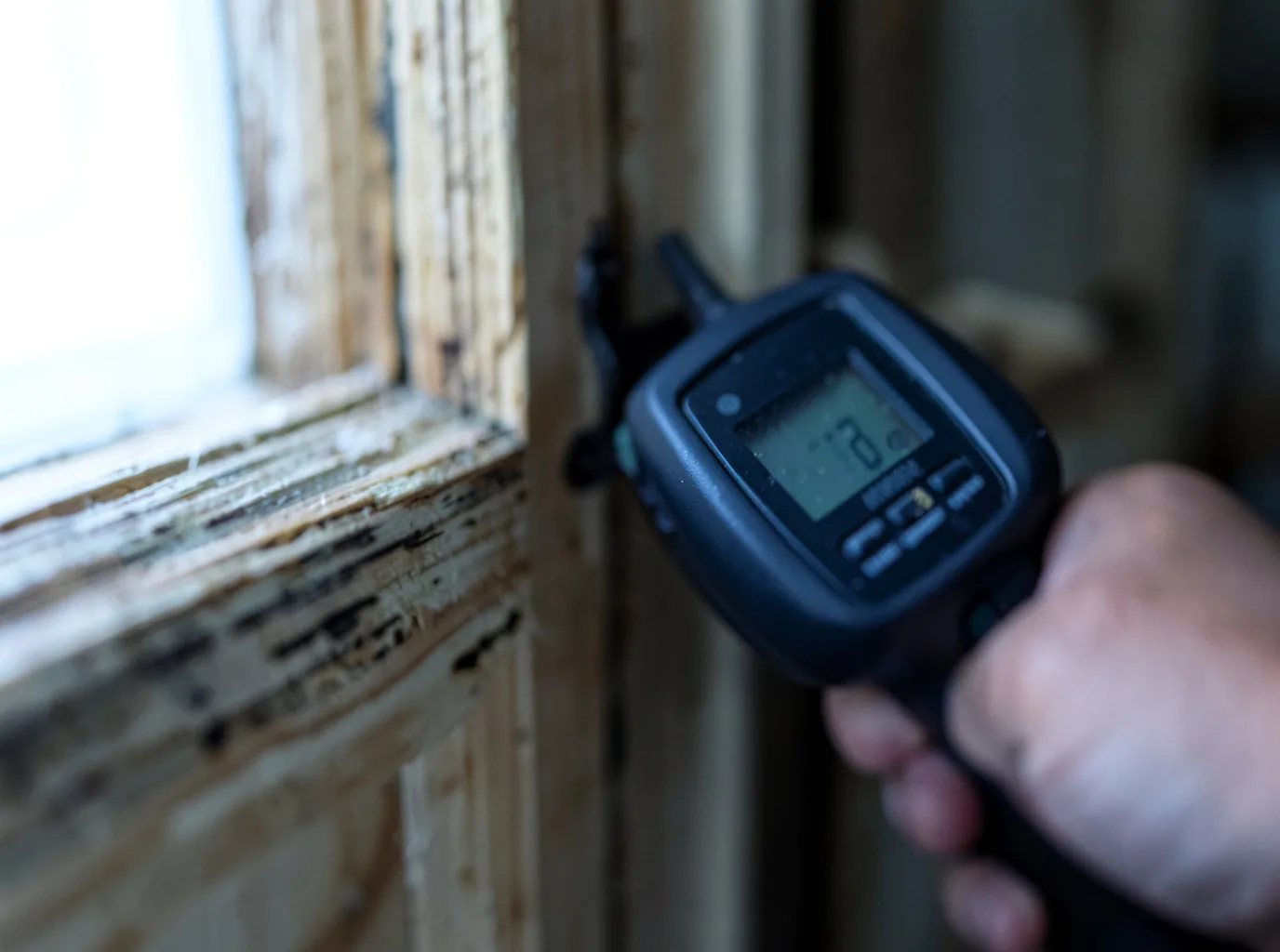 Moisture Inspection And Documentation in Herman, NE